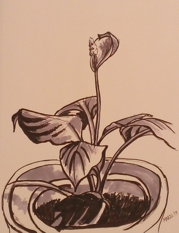 Potted Plant - Sketch - Marker